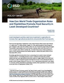 How Can World Trade Organization Rules and Flexibilities Promote Food Security in Least Developed Countries? brief cover showing the first page of the brief with an image of a person using a tool to work agricultural land.