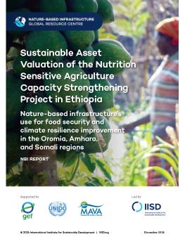 Sustainable Asset Valuation of the Nutrition Sensitive Agriculture Capacity Strengthening Project in Ethiopia report cover showing a bunch of papaya fruit with a woman in the background.