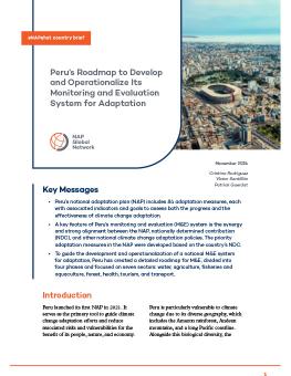 Peru's Roadmap to Develop and Operationalize Its Monitoring and Evaluation System for Adaptation brief cover showing an image of a city centre in Peru.