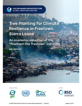 Tree Planting for Climate Resilience in Freetown, Sierra Leone report cover showing boats and buildings along a shoreline.