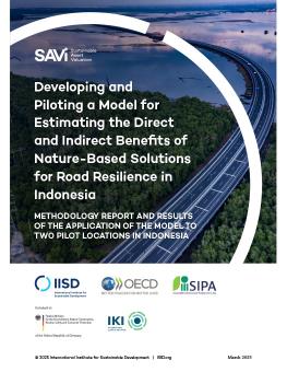 Developing and Piloting a Model for Estimating the Direct and Indirect Benefits of Nature-Based Solutions for Road Resilience in Indonesia report cover showing a highway surrounded by trees and water.