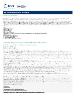 The first sheet in the Due Diligence Regulations Workbook.
