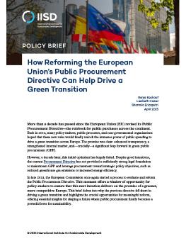 How Reforming the European Union's Public Procurement Directive Can Help Drive a Green Transition brief cover showing flags flying in front of a building.