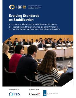 Evolving Standards on Stabilization report cover showing people gathered in a conference room.