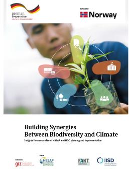 Building Synergies Between Biodiversity and Climate report cover showing a person holding a tree sapling.