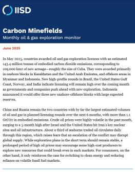Carbon minefields newsletter header in blue and opening paragraph