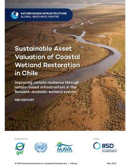 Sustainable Asset Valuation of Coastal Wetland Restoration in Chile report cover showing an aerial view of a river winding through the land.
