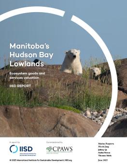 Manitoba's Hudson Bay Lowlands report cover showing two polar bears sitting among rocks and plants.