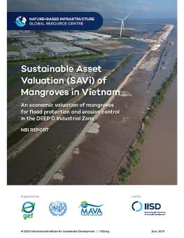 Sustainable Asset Valuation (SAVi) of Mangroves in Vietnam report cover showing a row of mangroves planted along the coast of an industrial area.