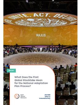 What Does the First Global Stocktake Mean for the National Adaptation Plan Process? cover photo