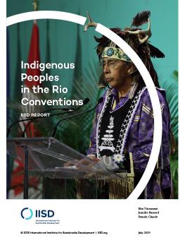 Indigenous Peoples in the Rio Conventions report cover showing a person wearing regalia standing at a podium.