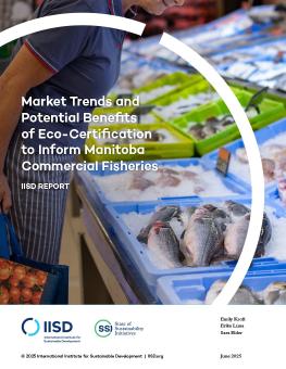 Market Trends and Potential Benefits of Eco-Certification to Inform Manitoba Commercial Fisheries report cover showing a person looking over fish on ice at a market.