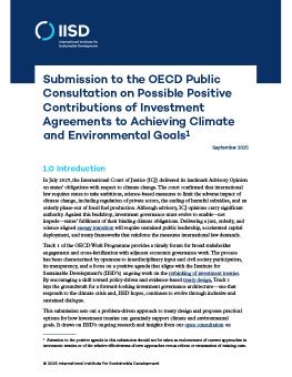 Submission to the OECD Public Consultation on Possible Positive Contributions of Investment Agreements to Achieving Climate and Environmental Goals brief cover