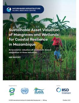 Sustainable Asset Valuation of Mangroves and Wetlands for Coastal Resilience in Mozambique report cover showing two people walking through tall grass and vegetation.