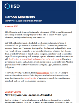A photo of the Carbon Minefields newsletter.