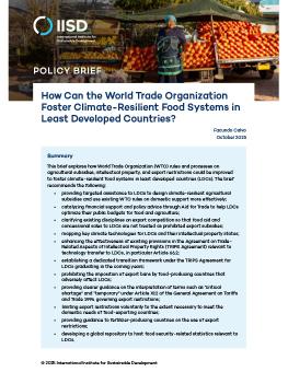The first page of the How Can the World Trade Organization Foster Climate-Resilient Food Systems in Least Developed Countries? brief showing an image of a woman standing in front of a produce stand.