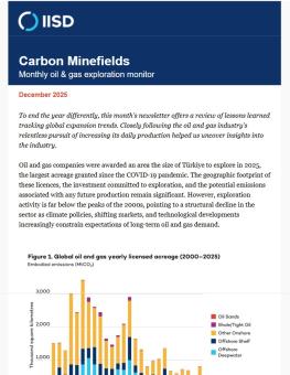 A photo of the Carbon Minefields newsletter.
