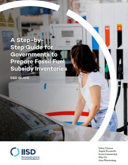 A Step-by-Step Guide for Governments to Prepare Fossil Fuel Subsidy Inventories report cover