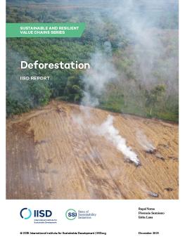 Sustainable and Resilient Value Chains: Deforestation report cover showing piles of burning trees in a forest.