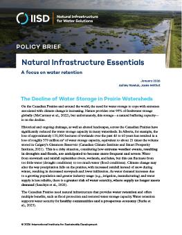 First page of the Natural Infrastructure Essentials brief showing a photo of a lake.