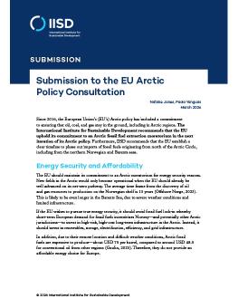 First page of the Submission to the EU Arctic Policy Consultation brief