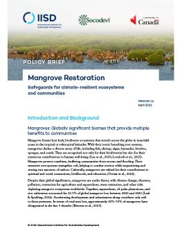 The first page of the Mangrove Restoration brief.