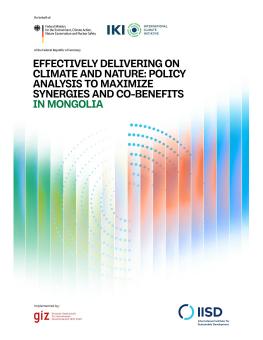 First page of the Effectively Delivering on Climate and Nature: Policy analysis to maximize synergies and co-benefits in Mongolia report