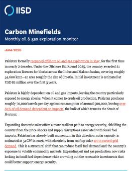 Carbon Minefields newsletter header and introduction
