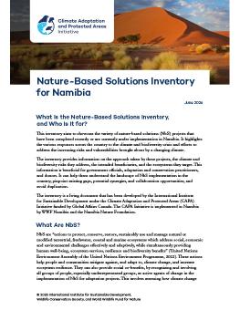 First page of the Nature-Based Solutions Inventory for Namibia report showing an image of a sand dune.