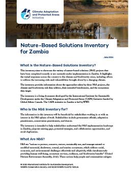 First page of the Nature-Based Solutions Inventory for Zambia report showing an image of elephants crossing a shallow body of water.