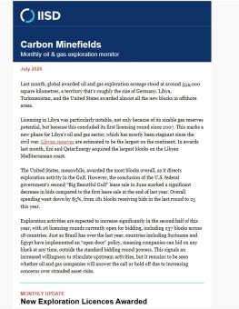 A photo of the Carbon Minefields newsletter.