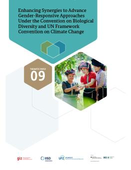 Enhancing Synergies to Advance Gender-Responsive Approaches Under the Convention on Biological Diversity and UN Framework Convention on Climate Change report cover
