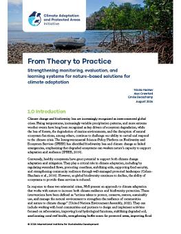 First page of the From Theory to Practice brief