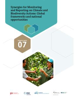 Synergies for Monitoring and Reporting on Climate and Biodiversity Actions report cover showing two people holding a tree sapling.