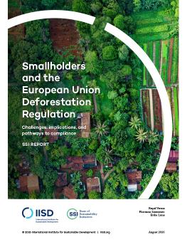 Smallholders and the European Union Deforestation Regulation report cover showing an aerial view of buildings and crops surrounded by lush trees.