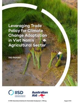 Leveraging Trade Policy for Climate Change Adaptation in Viet Nam’s Agricultural Sector report cover showing an aerial view of two farmers harvesting Bang grass.