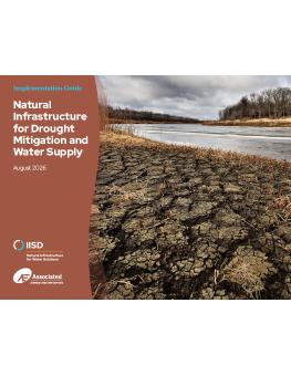 Natural Infrastructure for Drought Mitigation and Water Supply guide cover showing cracked, dry soil next to a river.