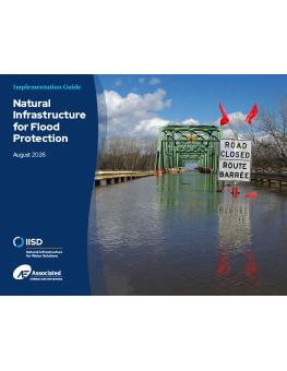 Natural Infrastructure for Flood Protection showing a flood bridge and a sign that says "Road closed."