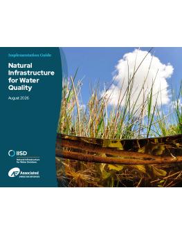 Natural Infrastructure for Water Quality guide cover showing plants growing below and above water.