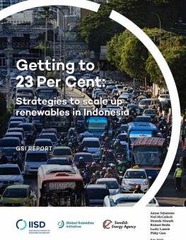 23-per-cent-renewables-indonesia-1.jpg