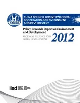 CCICED_annual_report.jpg