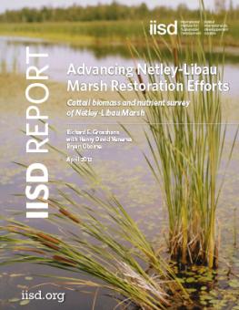 advancing-netley-libau-marsh-restoration-efforts.jpg