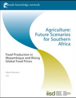 ag_scenarios_south_africa_mozambique.jpg