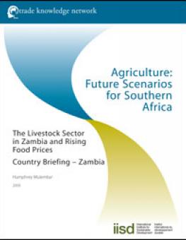 ag_scenarios_south_africa_zambia.jpg