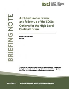 architecture-review-follow-up-sdg-options-hlpf.jpg