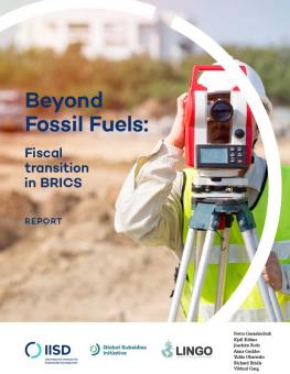 beyond-fossil-fuels-brics-1.jpg