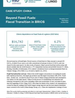 beyond-fossil-fuels-china-1.jpg