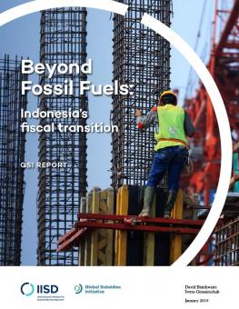 beyond-fossil-fuels-indonesia-fiscal-transition-1.jpg