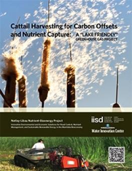 cattail_harvesting_carbon_offsets-cover.jpg