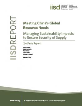china_global_resource_synthesis_report.jpg